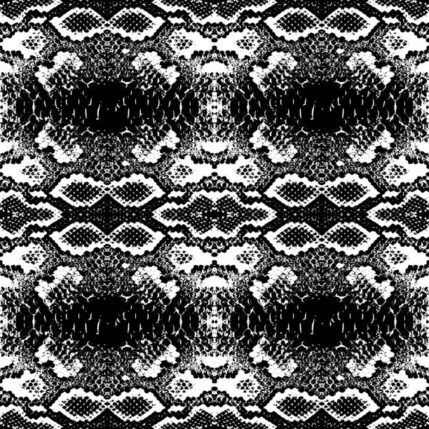 70+ Reticulated Python Background Stock Illustrations, Royalty-Free ...