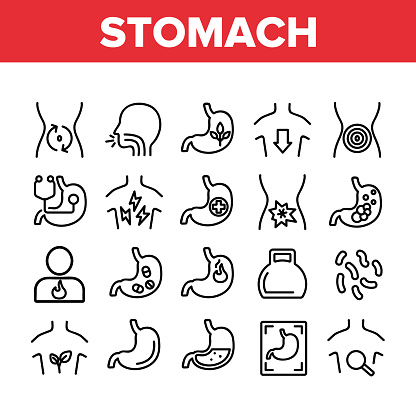Stomach Organ Collection Elements Icons Set Vector Thin Line. Stomach Healthy And Disease, With Drugs And Flame, Stomachache And Acid Concept Linear Pictograms. Monochrome Contour Illustrations