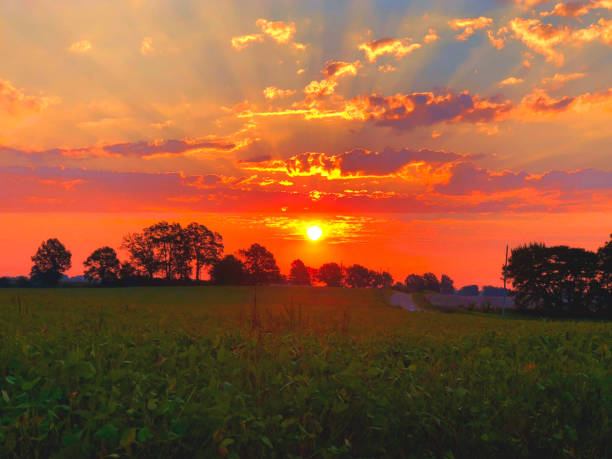 istock Majestic Sunrise Over The Soybean Field 1185793754