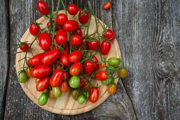 istock beautiful tomatoes on wooden surface 1185795570