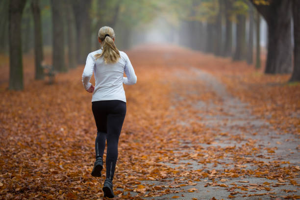 rear view one woman jogging in autumn alley - prater park imagens e fotografias de stock