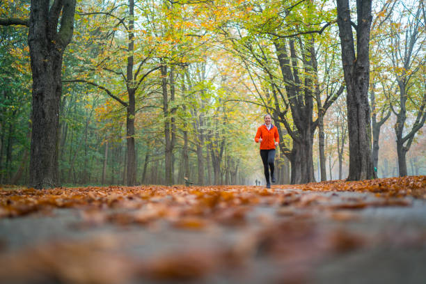 low angle view shallow focus one woman jogging outdoors in park on misty autumn morning - prater park imagens e fotografias de stock