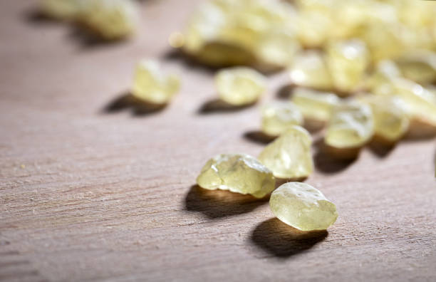 Mastic resin tears. Chios mastic on wood background, closeup view
