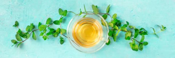 istock Mint tea cup, panoramic top shot on a blue background with vibrant fresh mint leaves forming a vignette 1185809036