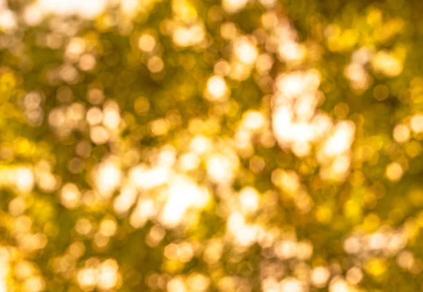 istock Yellow blur bokeh christmas 1185809799