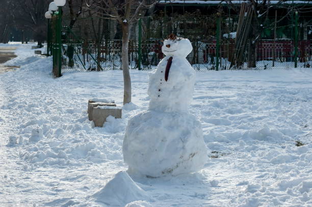 istock Winter scene with a snowman made with handy materials in the park 1185810096