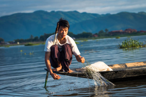inle lake, myanmar. 17th august, 2019: traditional fisherman of inle lake catching some fish