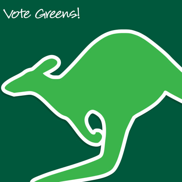 Australian Election card in vector format. Australian Election card in vector format. southern cross stock illustrations