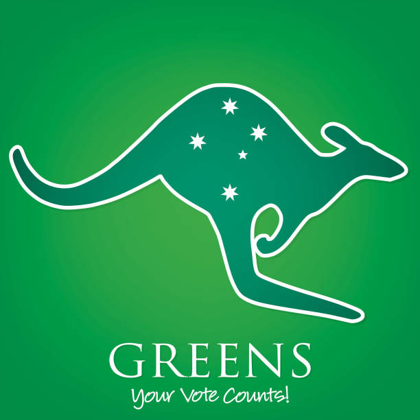 Australian Election card in vector format. Australian Election card in vector format. southern cross stock illustrations