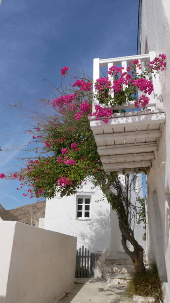 istock blossom greek island balcony 1185812699
