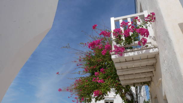 istock blossom greek island balcony 1185812703