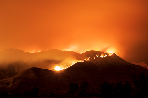 Santa Paula, CA - OCTOBER 31: The Maria Fire burns on a hillside as it expands up to 8,000 acres on its first night on November 1, 2019. Strong winds and extremely low humidity helps the fire spread further than expected. (Photo by Rio Petersen/Getty Images)