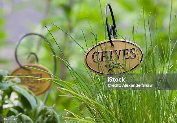 Photo libre de droit de Jardin Dherbes Aromatiques banque d'images et plus d'images libres de droit de Basilic - Basilic, Ciboulette, Couleur verte