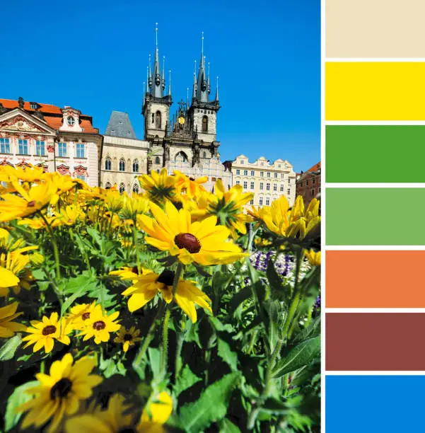 Color matching palette from travel background, Summer image of yellow flowers in front of Church of Our Lady before Tyn in Prague on a bright day with blue sky, natural color scheme.