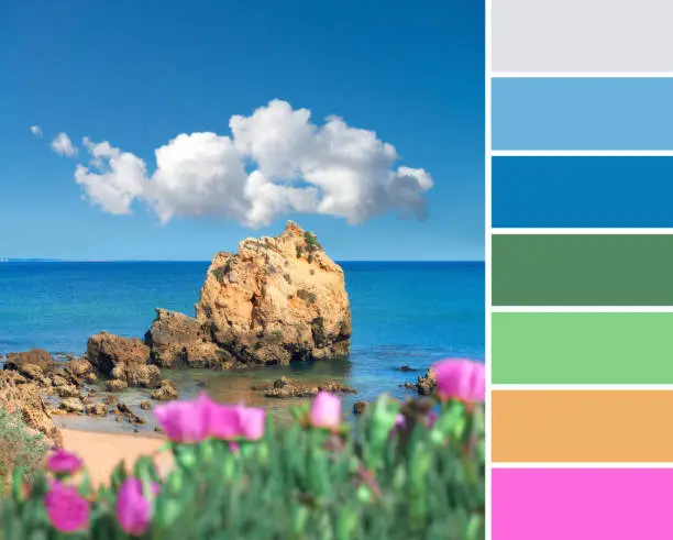 Color matching palette from travel background image of sandstone cliffs near Albufeira, Portugal, with Spring purple flowers. Natural color scheme with blue, magenta and orange.