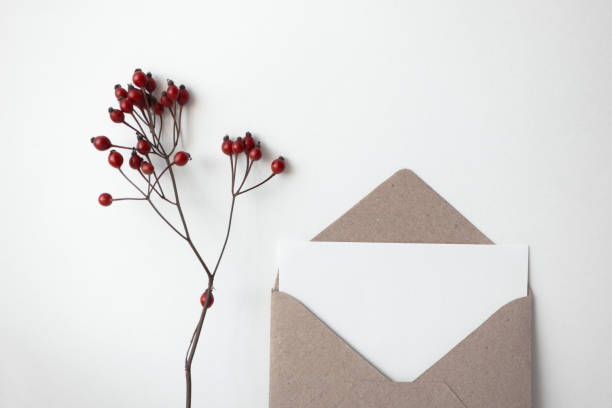 istock Craft paper envelope with empty white greeting card and red berry on white background, isolated. Horizontal format, top view 1185817448