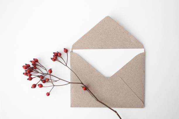 istock Letter in craft paper envelope and red berry on white background, isolated. Horizontal format, top view 1185817986