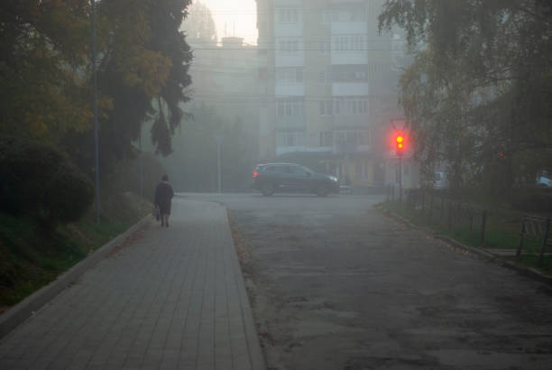 istock Fog in the city 1185819777