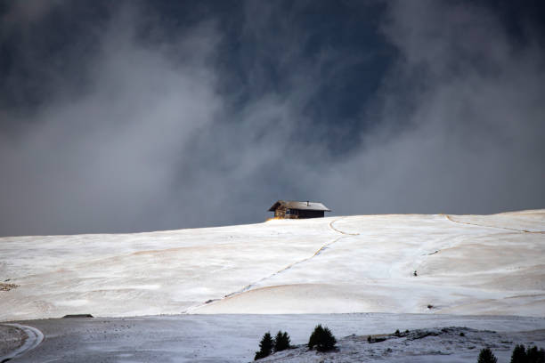 istock Alp of Siusi in winter 1185823736