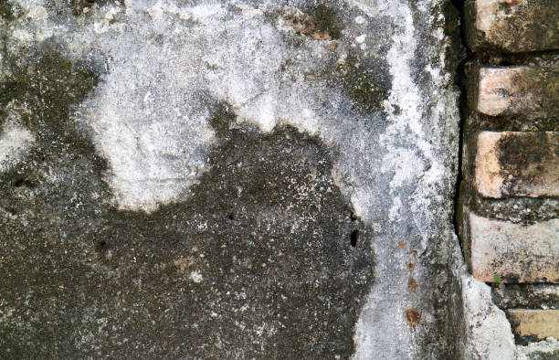istock The old wall concrete with brick for background 1185824196