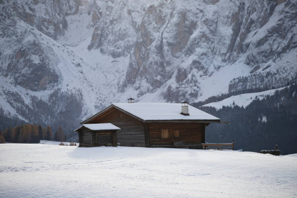 альп сиуси зимой - forest alp tirol hiking стоковые фото и изображения