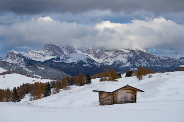 альп сиуси зимой - forest alp tirol hiking стоковые фото и изображения