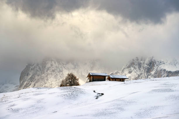istock Alp of Siusi, Dolomite 1185828126