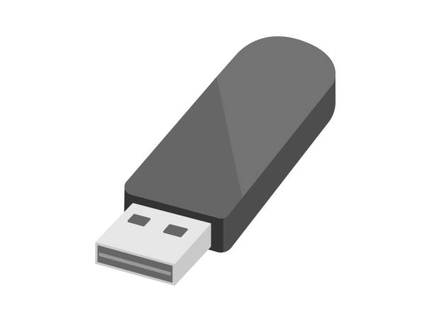 illustrations, cliparts, dessins animés et icônes de mémoire usb - usb memory