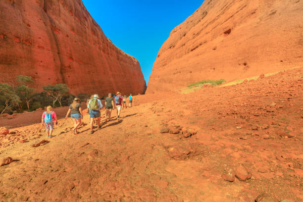 Uluru, Northern Territory, Australia - Aug 24, 2019: many people walking towards two tallest domes of Walpa Gorge entrance in Uluru-Kata Tjuta National Park. Outback Red Centre.
