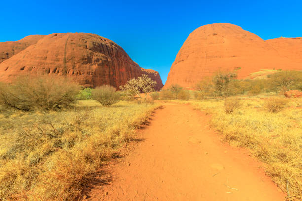 walpa gorge footpath - olgas imagens e fotografias de stock