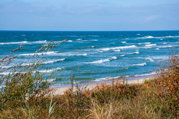 istock Rough sea with waves in autumn or winter 1185835674