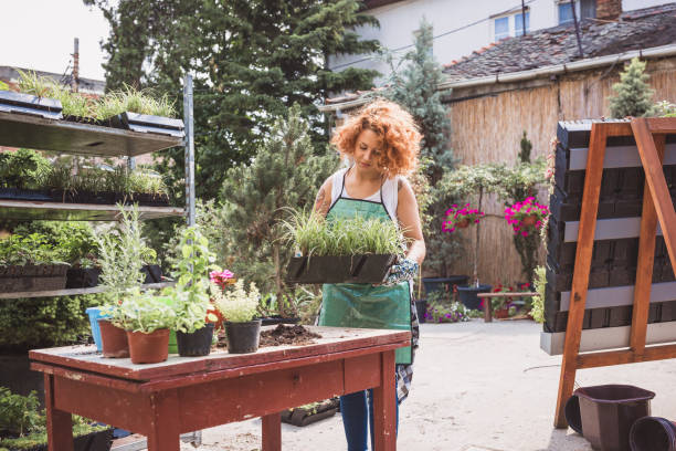 istock Small business, flower garden 1185838044
