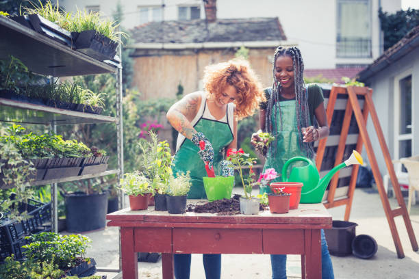 istock Small business, flower garden 1185838065