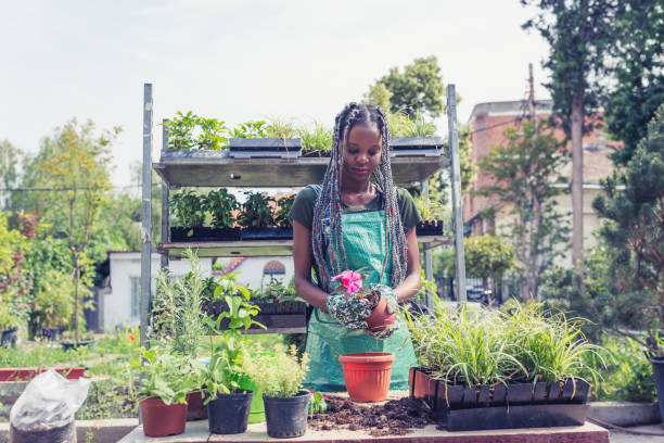 istock Small business, flower garden 1185838087