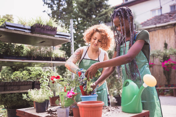 istock Small business, flower garden 1185838148
