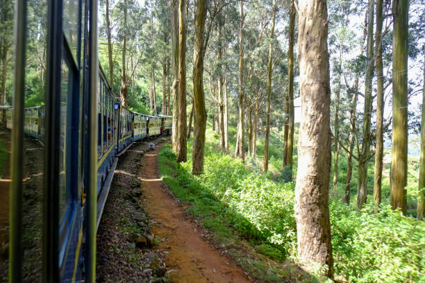 Ride the Nilgiri Mountain Railway