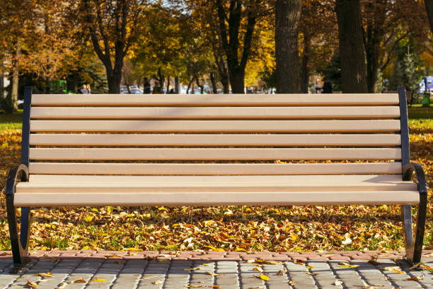 istock Empty bench in the park in autumn on a sunny day. Single ribbed bench outdoors in yellow fall foliage. 1185838650