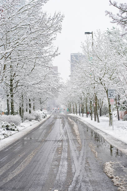 istock Bellevue Downtown at the Snow Storm Day 1185840198