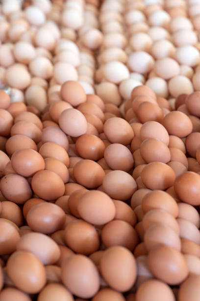 istock organic chicken eggs sold in market 1185841043