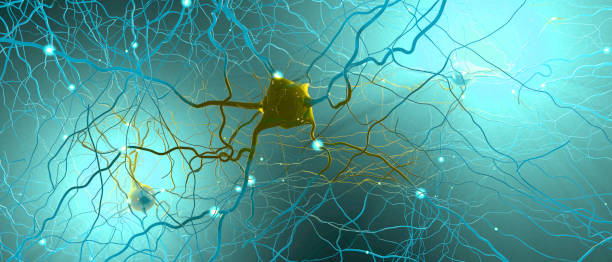 Signal transmitting neurons or nerve cells- 3d illustration Signal transmitting neurons or nerve cells- 3d illustration electron photos stock pictures, royalty-free photos & images