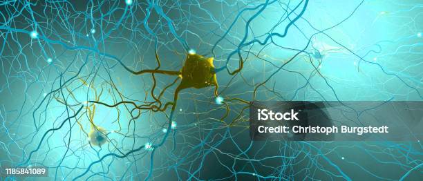 Signal Transmitting Neurons Or Nerve Cells 3d Illustration Stock Photo - Download Image Now