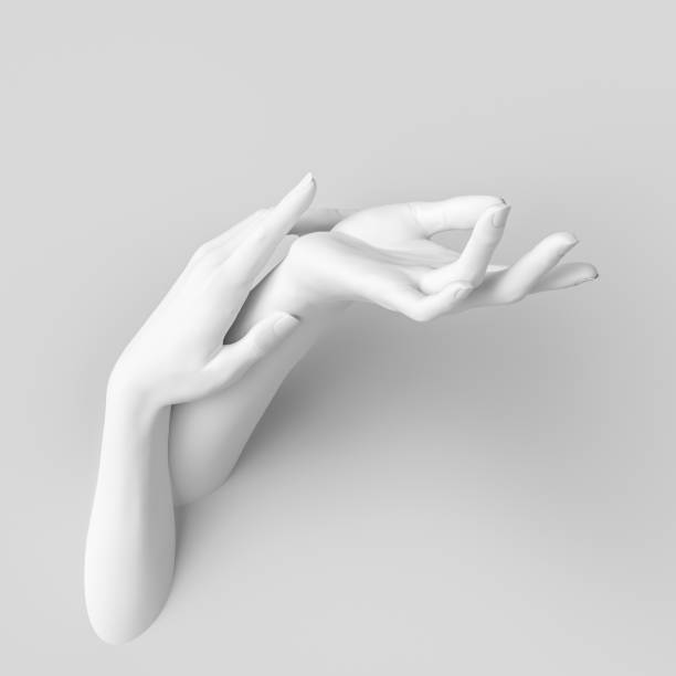 white beauty concept. elegant woman hands sculpture. white female hands soft touch gesture, product dispalay, mannequin body parts, 3d rendering. - sculpture art abstract white imagens e fotografias de stock