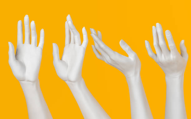 istock Female hand sculpture set, white open palm elegant gesture, art beauty concept, 3d rendering, 1185842321