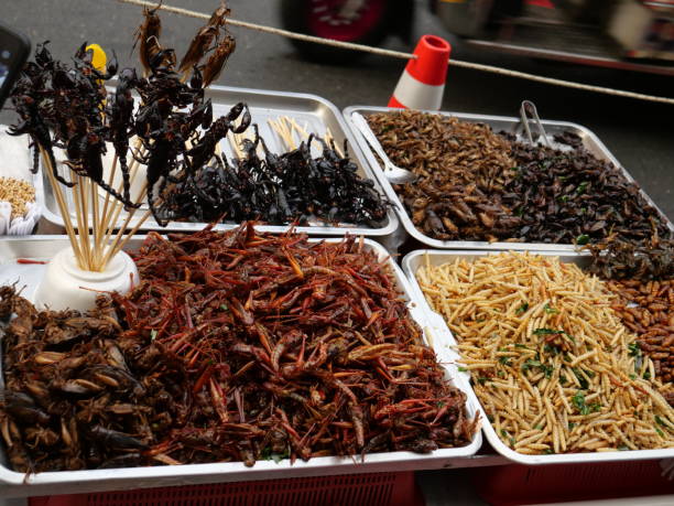 istock Exotic Snack of Scorpions/Worms/Insects 1185842644