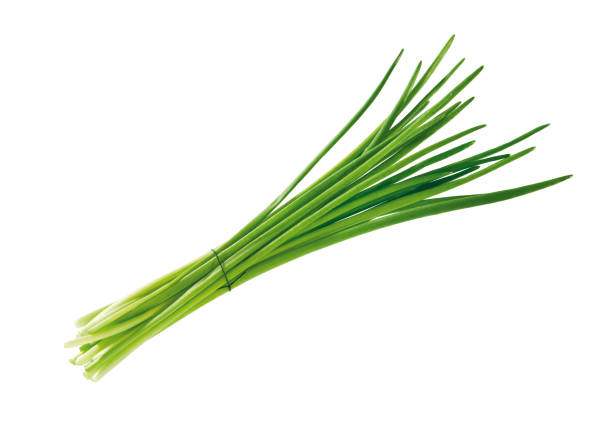 erba cipollina - chive herb isolated freshness foto e immagini stock