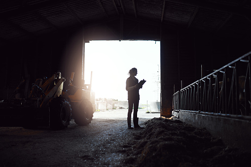 Shot of a young woman working in the barn at a dairy farm