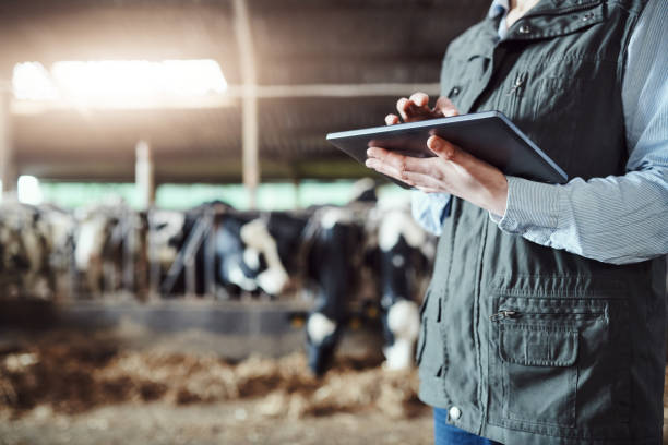 istock What's a dairy farm without digital technology 1185843546