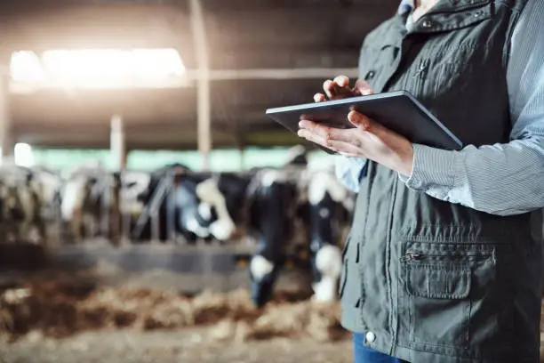 Photo of What's a dairy farm without digital technology