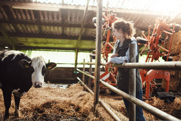 istock She put her life and soul into this farm 1185843548