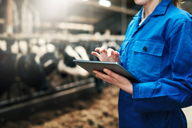istock The smallest farmer's assistant 1185843576